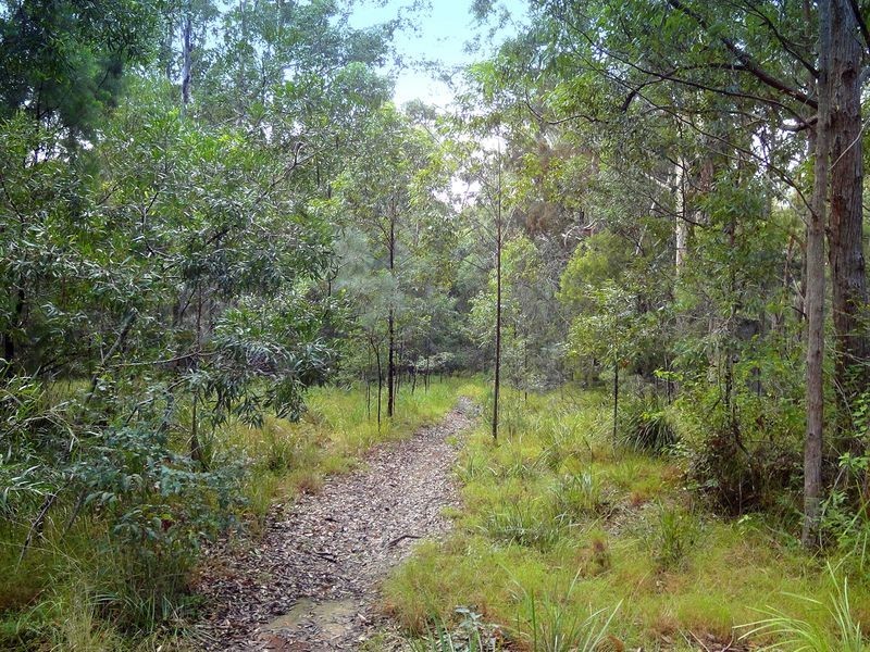 198 Cold Knob Road, Byabarra NSW 2446