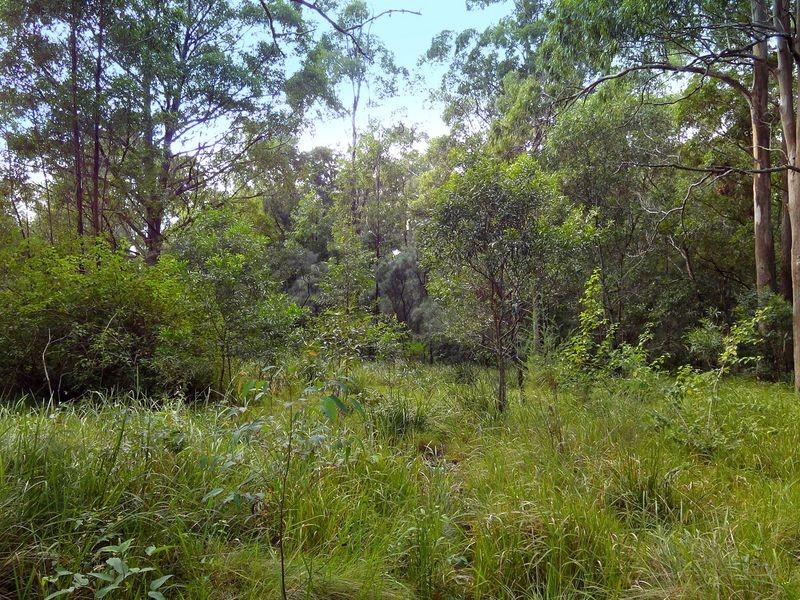198 Cold Knob Road, Byabarra NSW 2446