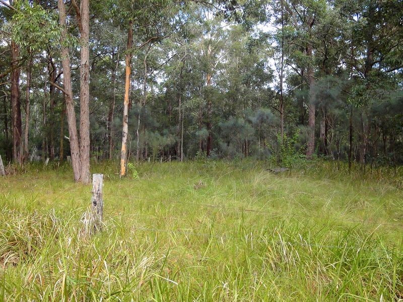 198 Cold Knob Road, Byabarra NSW 2446