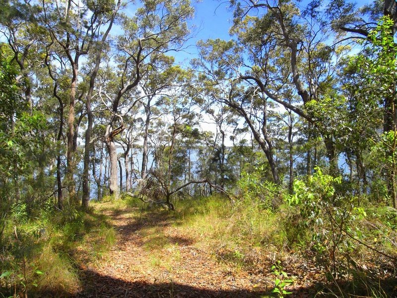 Lot 120 Waterloo Creek Road, Bonny Hills NSW 2445