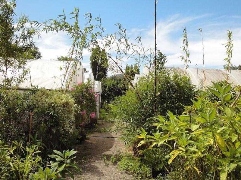 Greenlight Nursery, Moorland NSW 2443