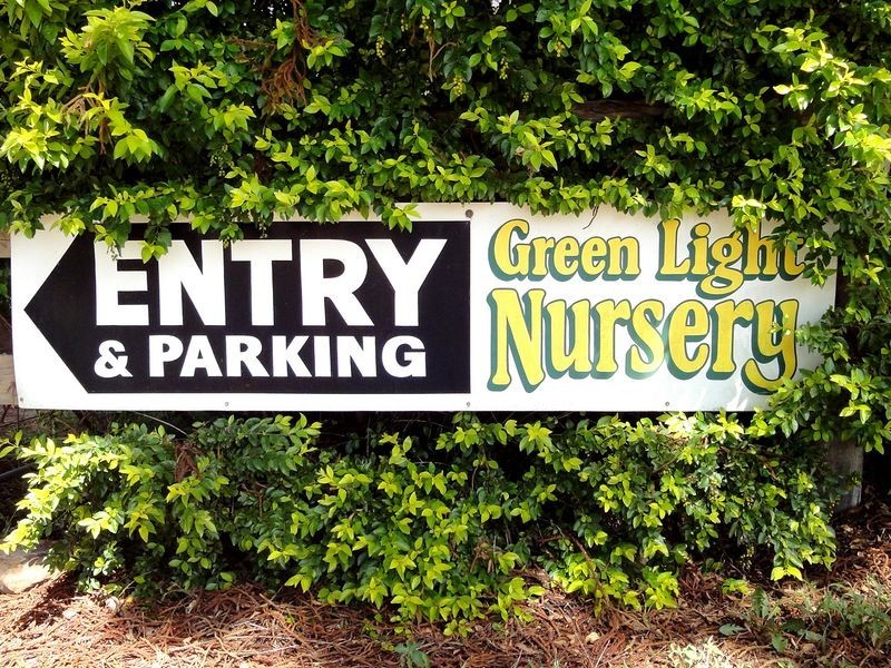 Greenlight Nursery, Moorland NSW 2443