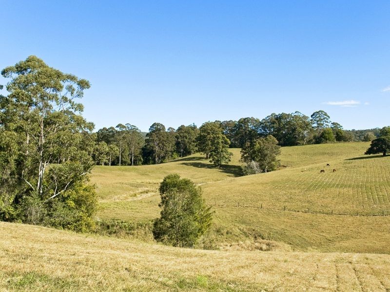 29 Coaldrakes Lane, Hannam Vale NSW 2443