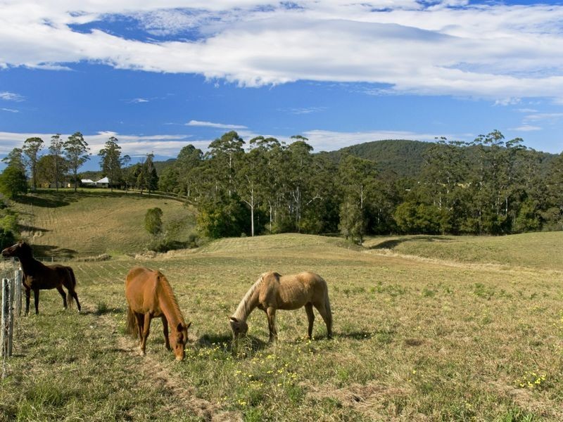 29 Coaldrakes Lane, Hannam Vale NSW 2443