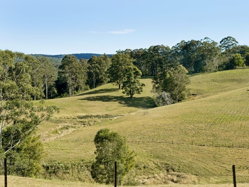 29 Coaldrakes Lane, Hannam Vale NSW 2443