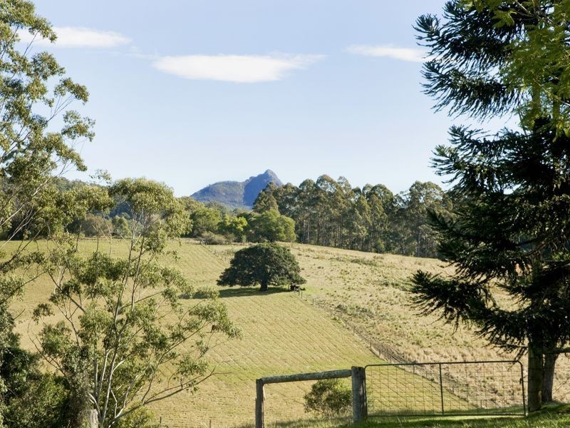 29 Coaldrakes Lane, Hannam Vale NSW 2443