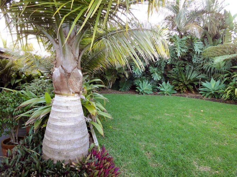 46 Seafront Circuit, Bonny Hills NSW 2445