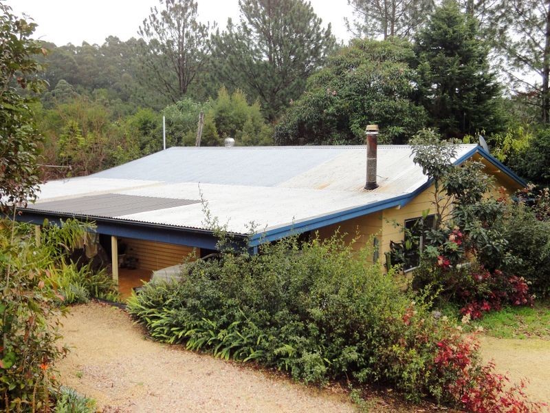 559 Batar Creek Road, Kendall NSW 2439