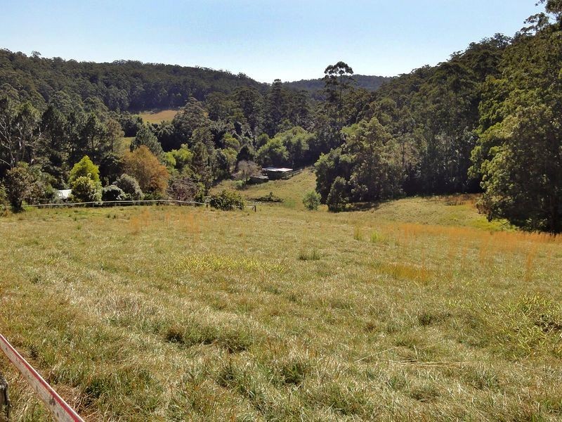 559 Batar Creek Road, Kendall NSW 2439