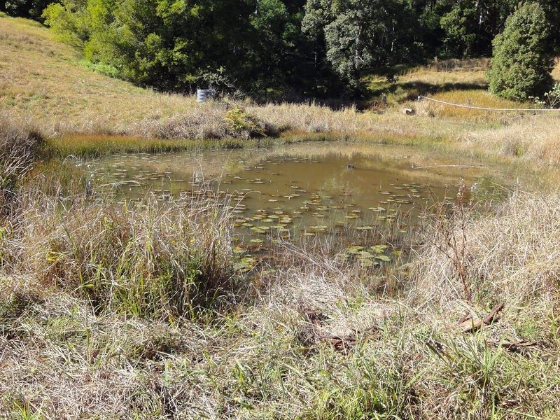 559 Batar Creek Road, Kendall NSW 2439