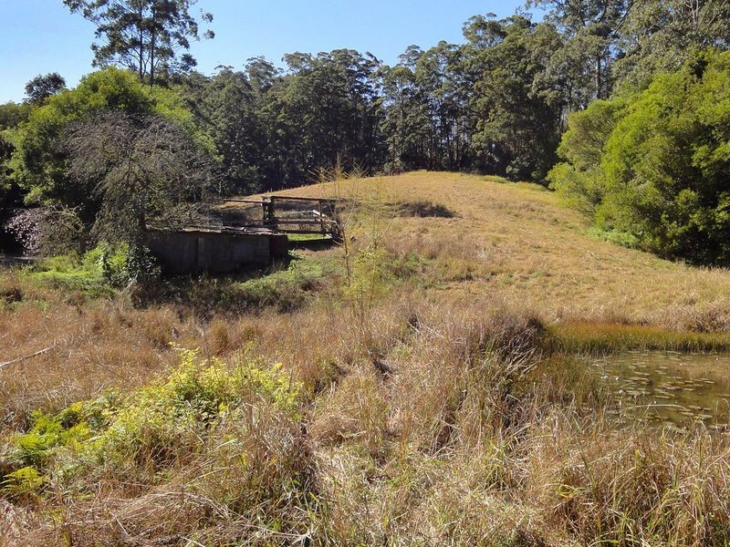 559 Batar Creek Road, Kendall NSW 2439