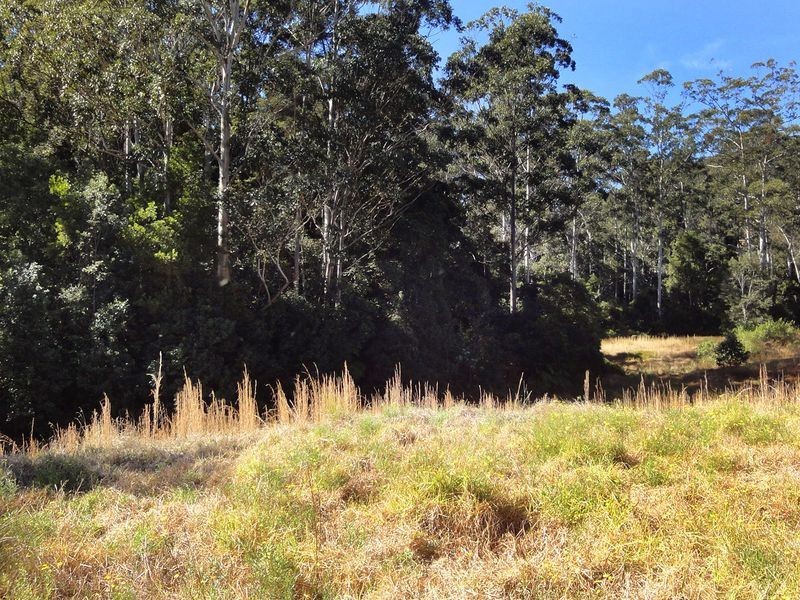 559 Batar Creek Road, Kendall NSW 2439