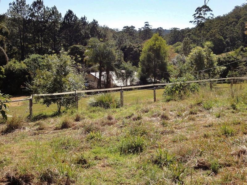 559 Batar Creek Road, Kendall NSW 2439