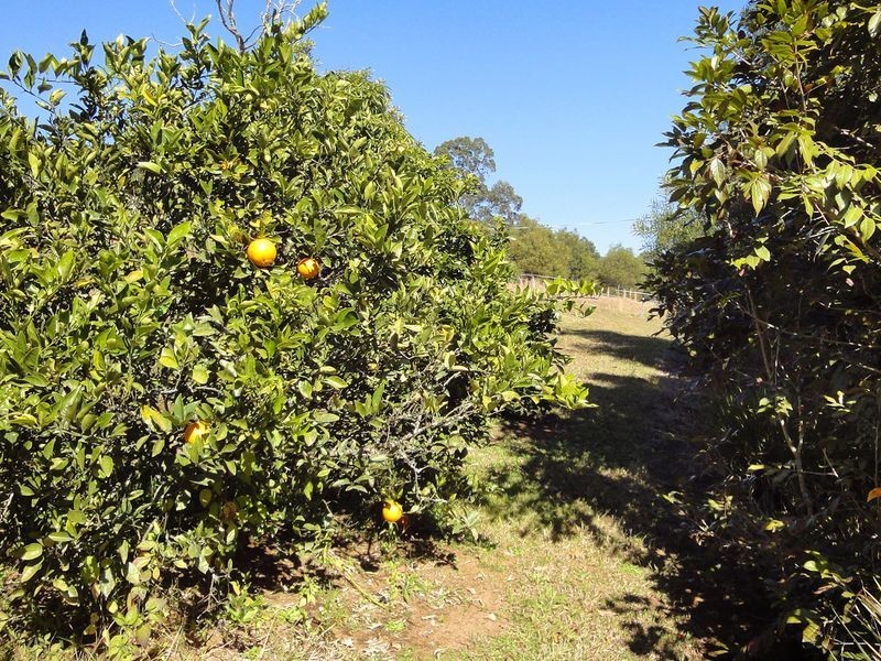 559 Batar Creek Road, Kendall NSW 2439