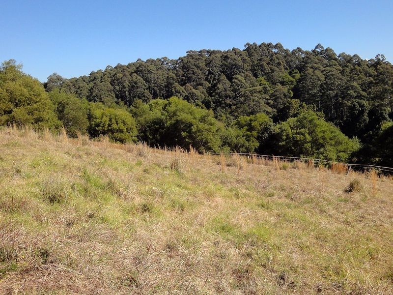 559 Batar Creek Road, Kendall NSW 2439