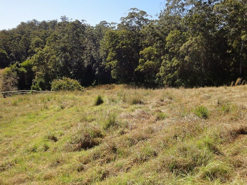 559 Batar Creek Road, Kendall NSW 2439