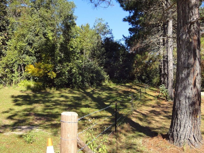 559 Batar Creek Road, Kendall NSW 2439