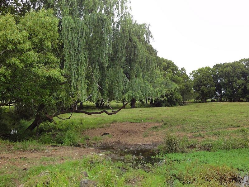 Wauchope NSW 2446