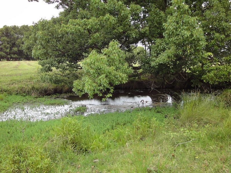 Wauchope NSW 2446
