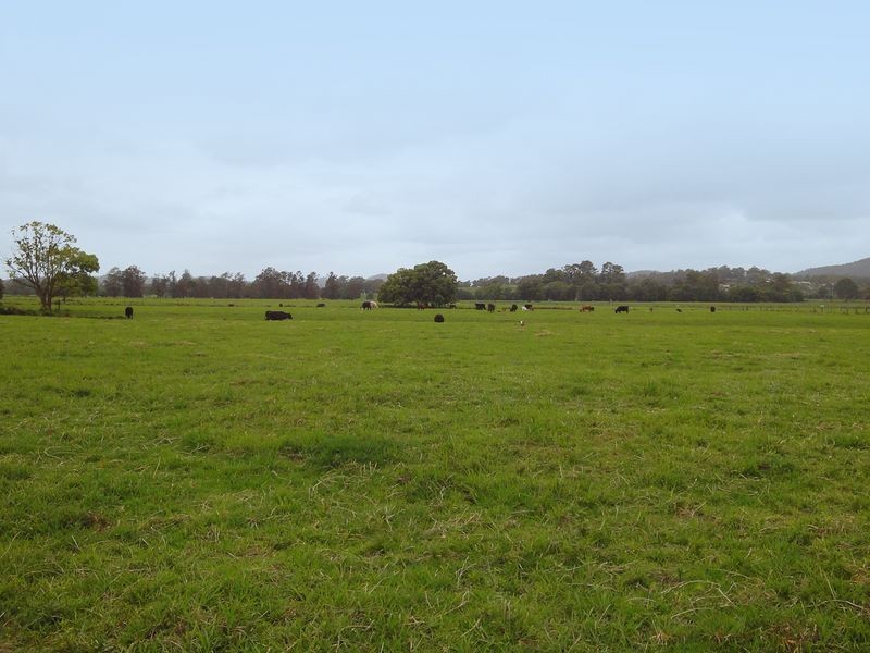 Wauchope NSW 2446