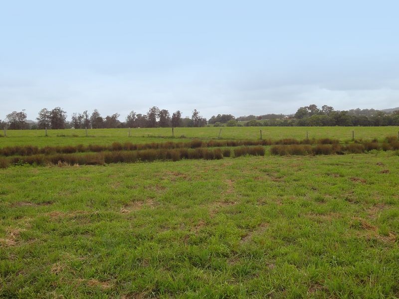 Wauchope NSW 2446