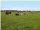 Wauchope NSW 2446