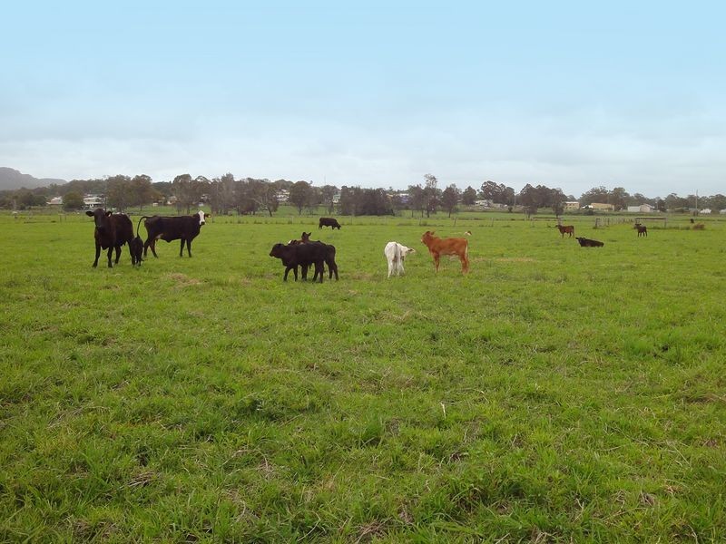 Wauchope NSW 2446