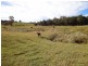 366 Deep Creek Road, Hannam Vale NSW 2443