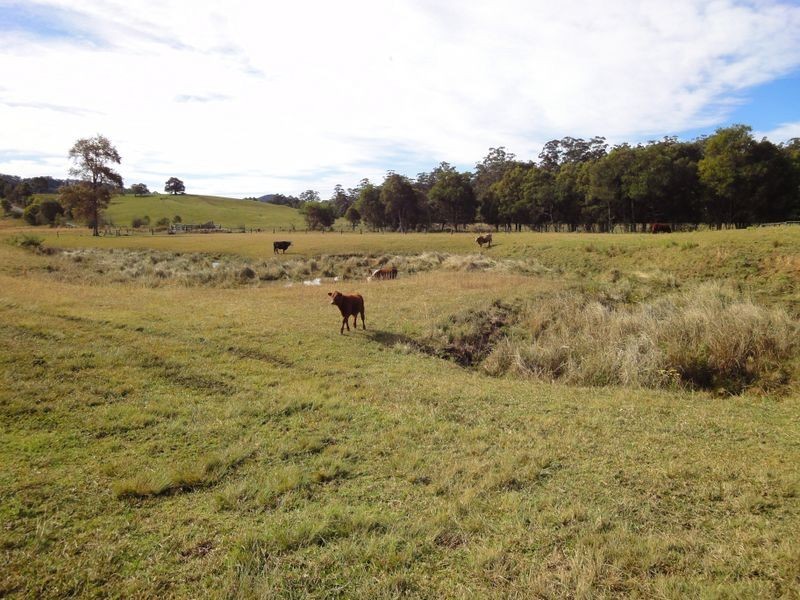 366 Deep Creek Road, Hannam Vale NSW 2443