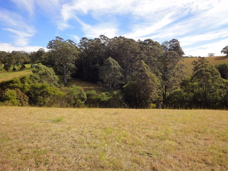 366 Deep Creek Road, Hannam Vale NSW 2443