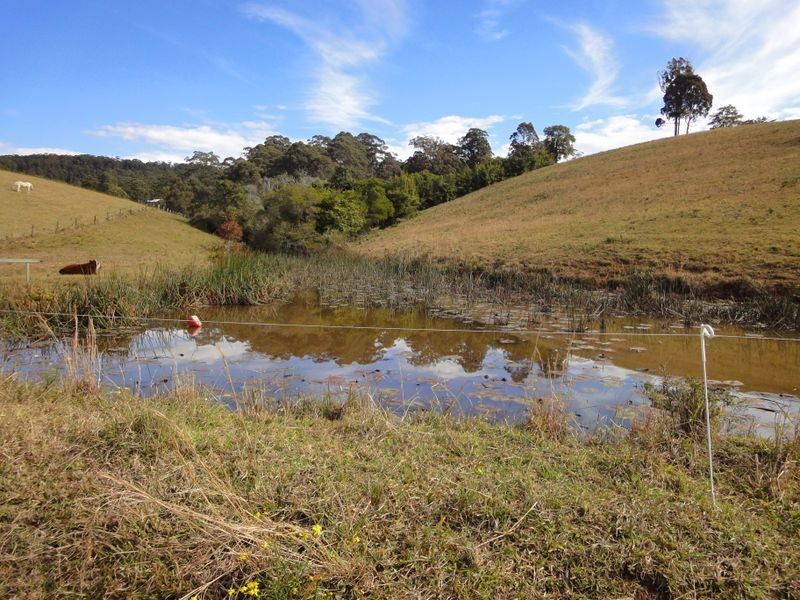 366 Deep Creek Road, Hannam Vale NSW 2443
