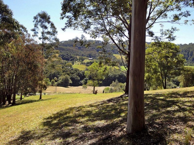 221 Waitui Road, Waitui NSW 2443