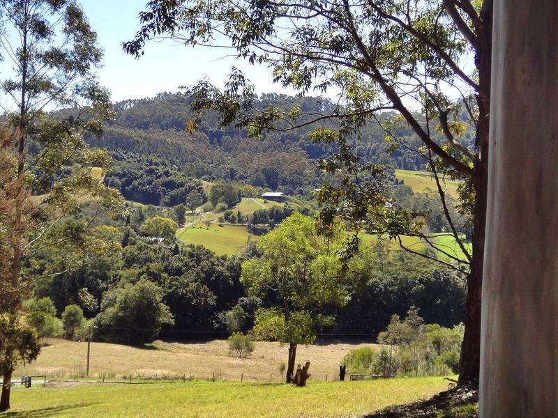 221 Waitui Road, Waitui NSW 2443