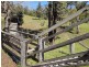 221 Waitui Road, Waitui NSW 2443