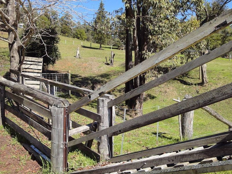 221 Waitui Road, Waitui NSW 2443