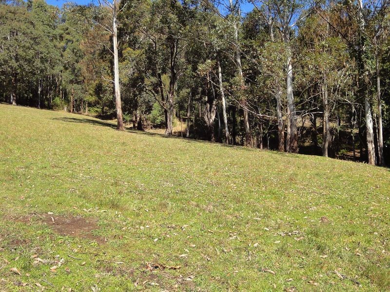 221 Waitui Road, Waitui NSW 2443