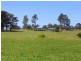 185 Huntingdon Road, Huntingdon NSW 2446