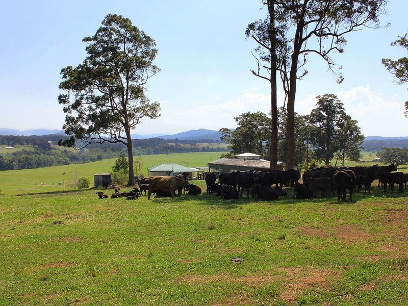 185 Huntingdon Road, Huntingdon NSW 2446