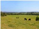 185 Huntingdon Road, Huntingdon NSW 2446