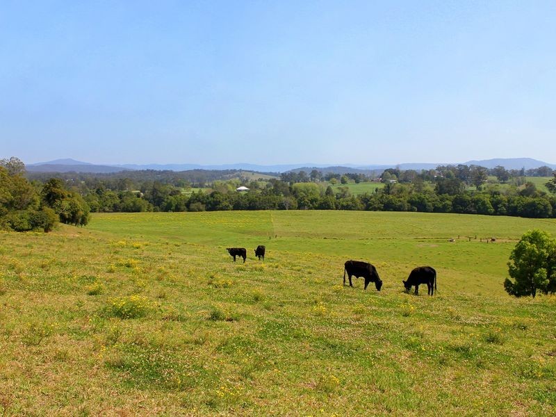 185 Huntingdon Road, Huntingdon NSW 2446