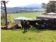 185 Huntingdon Road, Huntingdon NSW 2446