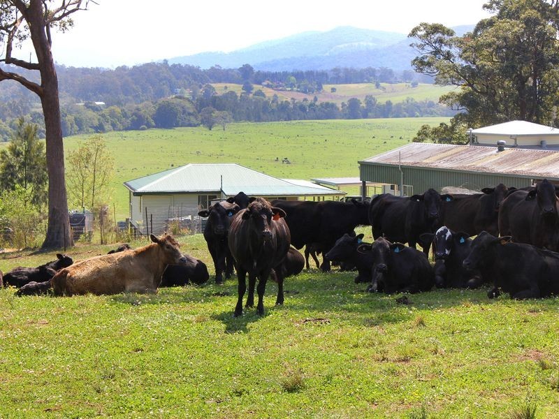 185 Huntingdon Road, Huntingdon NSW 2446