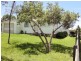 21 Lord Street, Laurieton NSW 2443