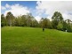 Lorne NSW 2439