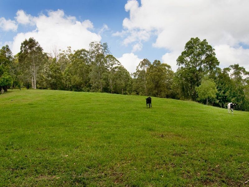 Lorne NSW 2439