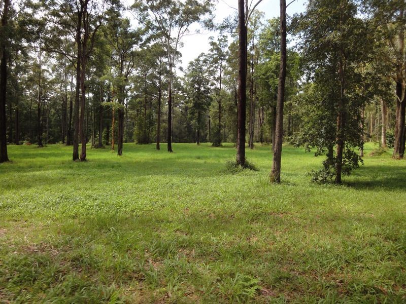 61 Stewarts River Road, Johns River NSW 2443