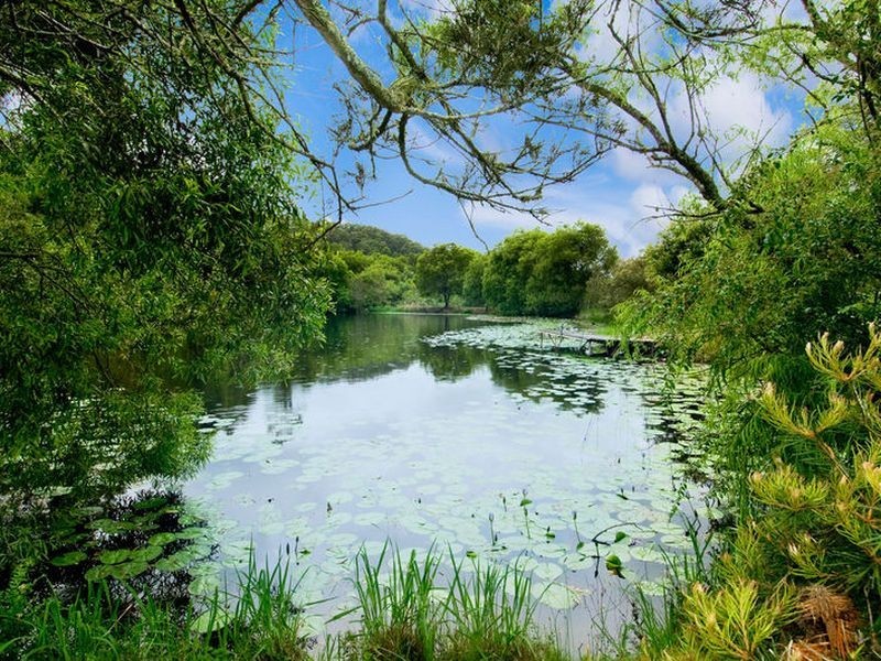 60 Cherry Tree Lane, Hannam Vale NSW 2443