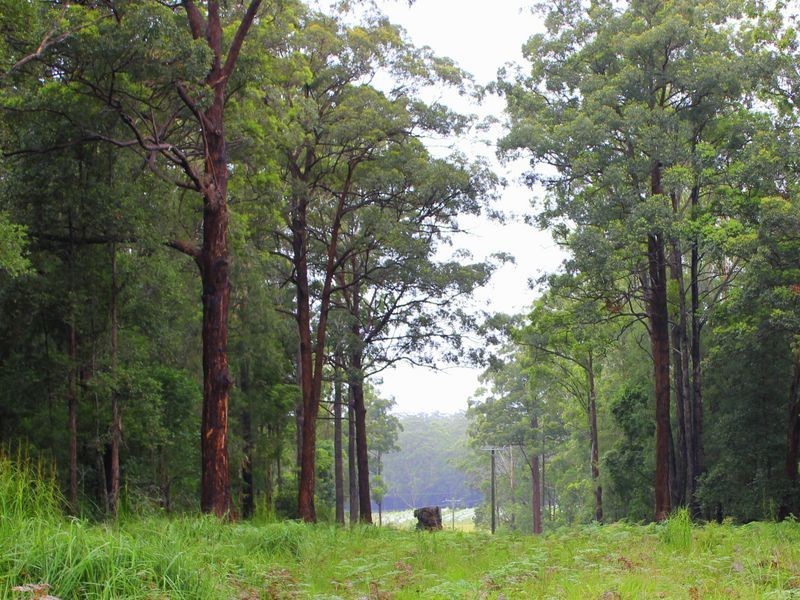 Lot 1 Roseneath Road, Herons Creek NSW 2443