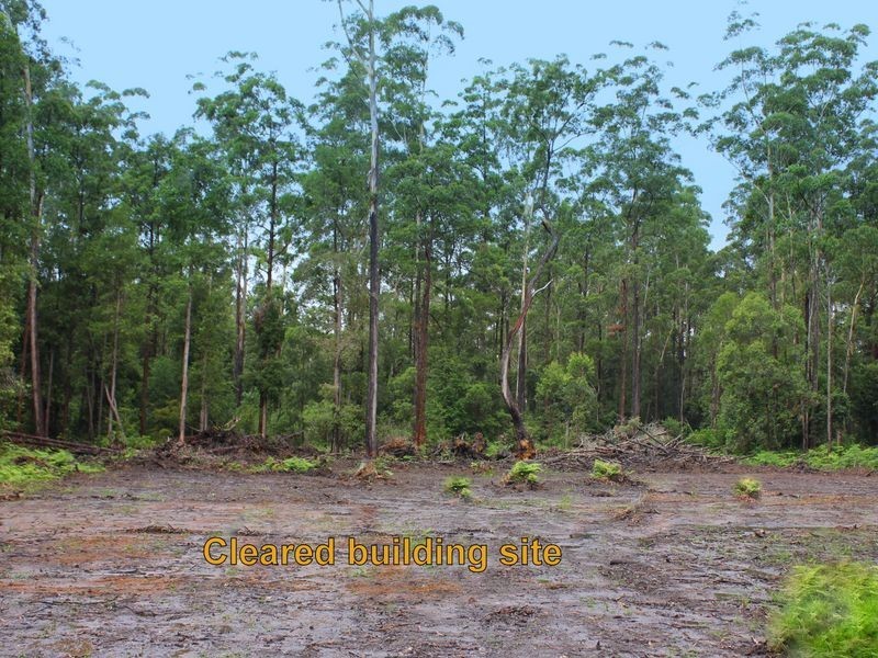 Lot 1 Roseneath Road, Herons Creek NSW 2443