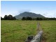 Moorland NSW 2443